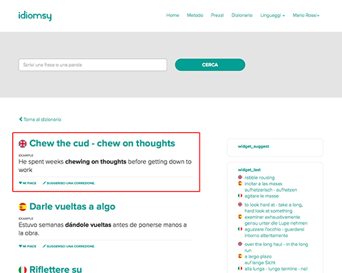  On the following page you will find idiomatic expressions in other languages exactly how they should be used.